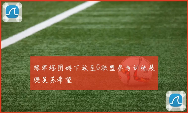 绿军塔图姆下放至G联盟参与训练展现复苏希望